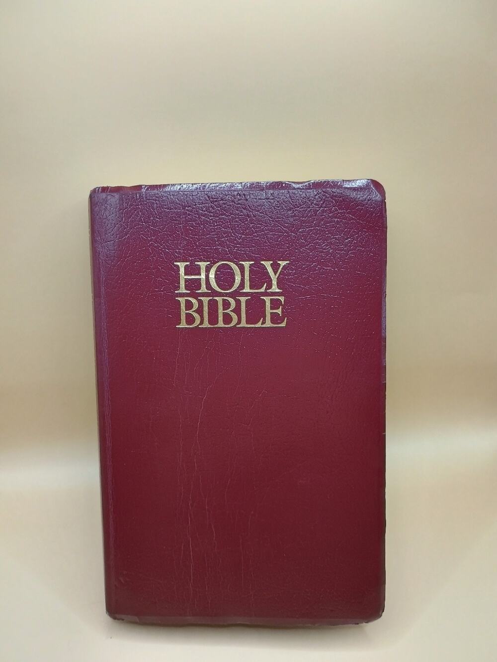 Zondervan NIV Holy Bible 2001 Red Letter Edition Burgundy Cover